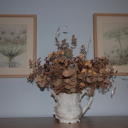 Le Buisson B&B Gouvy Bagian luar foto